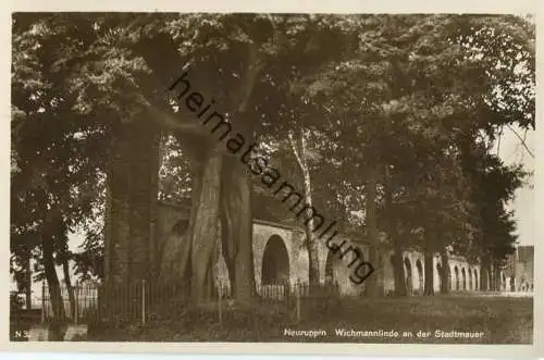 Neuruppin - Wichmannlinde an der Stadtmauer - Foto-AK 30er Jahre - Verlag Rudolf Lambeck Berlin