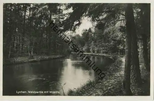 Lychen - Waldpartie mit Woblitz - Foto-AK 30er Jahre - Verlag J. Goldiner Berlin