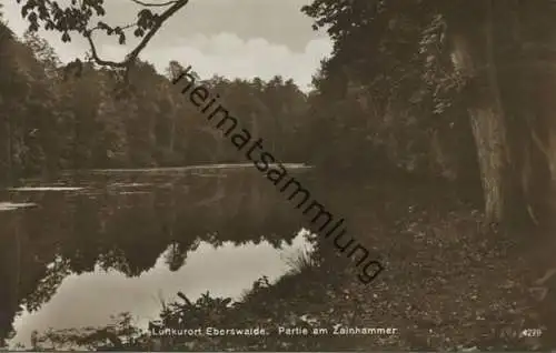 Eberswalde - Partie am Zainhammer - Foto-AK 20er Jahre - Verlag H. Rubin & Co. Dresden