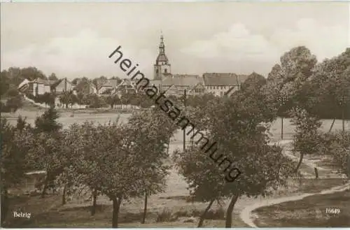 Belzig - Teilansicht - Foto-Ansichtskarte - Verlag Emil Balzer Belzig