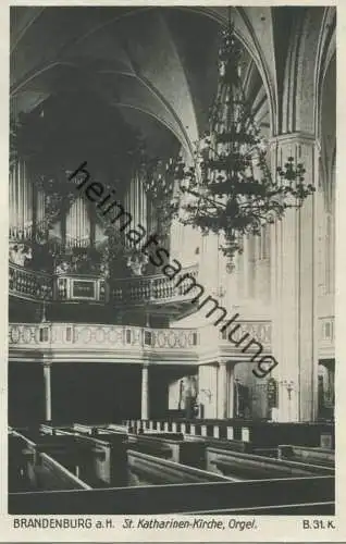 Brandenburg a. H. - St. Katharinen Kirche - Orgel - Foto-AK 30er Jahre - Verlag Ludwig Walter Berlin