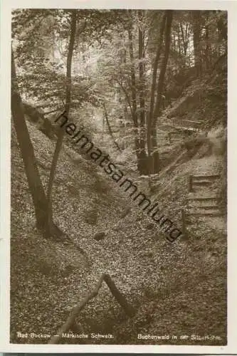 Bad Buckow - Märkische Schweiz - Silberkehle - Foto-Ansichtskarte - Verlag Rudolf Lambeck Berlin