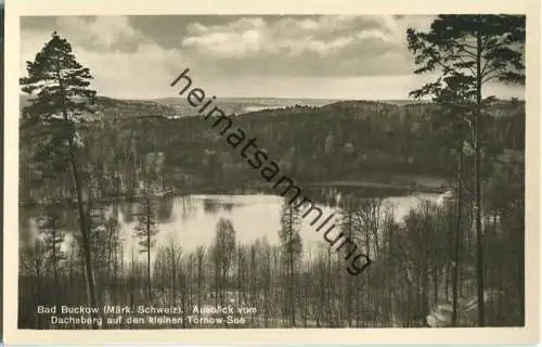 Bad Buckow - Märkische Schweiz - Kleiner Tornow-See vom Dachsberg - Foto-Ansichtskarte - Verlag Rudolf Lambeck Berlin