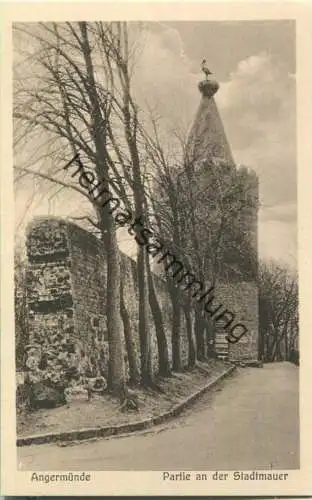 Angermünde - Stadtmauer - Verlag J. Goldiner Berlin