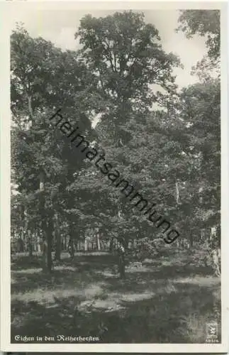 Prieros - Eichen in den Reiherhorsten - Verlag Klinke & Co. Berlin