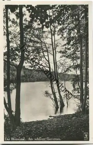 Gamensee - Blumenthal - Foto-Ansichtskarte - Verlag Klinke & Co. Berlin