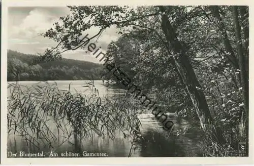 Gamensee - Blumenthal - Foto-Ansichtskarte - Verlag Klinke & Co. Berlin