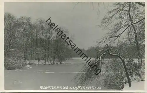 Berlin - Treptow - Karpfenteich im Winter  - Foto-AK 30er Jahre