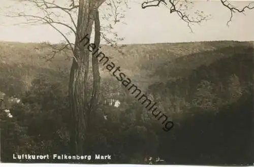 Falkenberg Mark - Foto-AK 30er Jahre - Verlag Max Weniger Falkenberg (Mark)