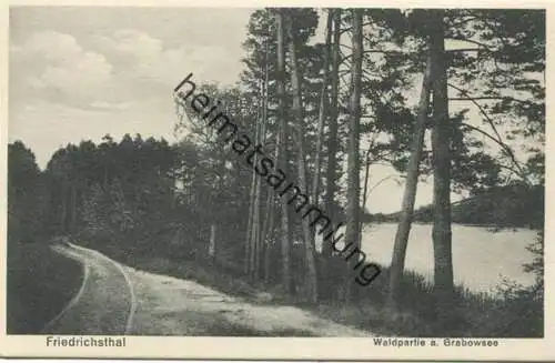 Friedrichsthal - Waldpartie am Grabowsee 30er Jahre - Verlag Willi Mathaus Berlin