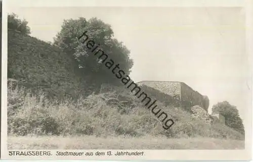 Strausberg - Stadtmauer - Verlag Ludwig Walter Berlin