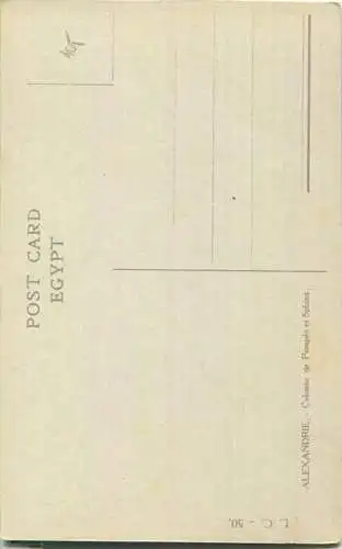 Alexandria - Pompey Column and Sphinx