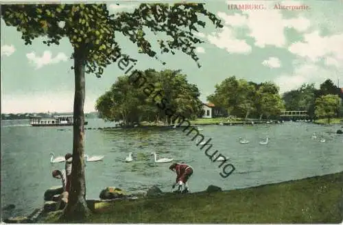 Hamburg - Schwäne - Alster