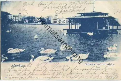 Hamburg - Schwäne auf der Alster