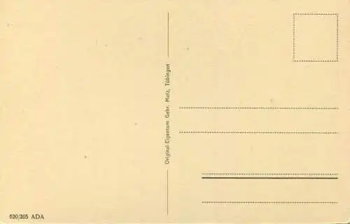 Wildbad - König-Karlstrasse - Verlag Gebr. Metz Tübingen