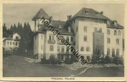 Predeal - Palace Hotel - Editeur Voinov