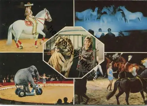 Christel Sembach-Krone - Tiger Ussur - Hohe Schule - Radfahr-Elefant Bijoya - Verlag F. Korenjak Karlsruhe