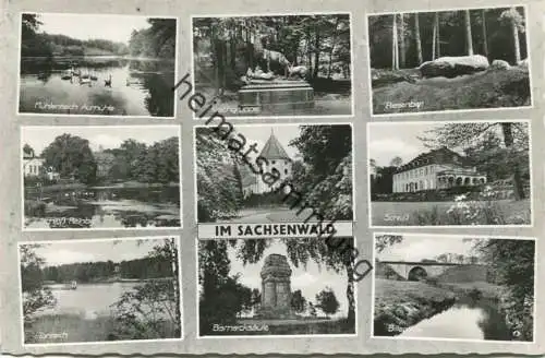 Im Sachsenwald - Foto-AK 60er Jahre - Verlag Ferd. Lagerbauer & Co Hamburg