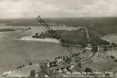 Der schöne See bei Haltern - Strandbad - Luftaufnahme Foto-AK ca. 1960 - Verlag Cramers Kunstanstalt Dortmund