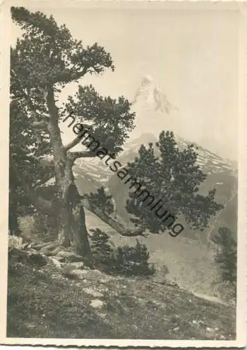 Schweiz - Blick auf das Matterhorn - Foto-AK Grossformat