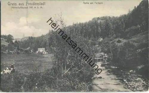 Freudenstadt - Partie am Forbach - Verlag Carl Fiedler Freudenstadt