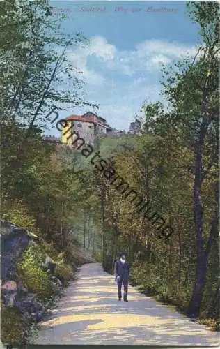 Bozen - Weg zur Haselburg - Edit Joh. F. Amonn