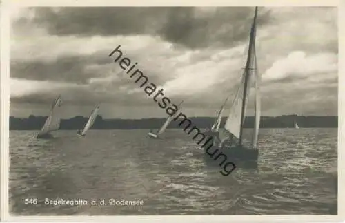 Bodensee - Segelregatta - Foto-Ansichtskarte - Verlag M. Willmann Lindau