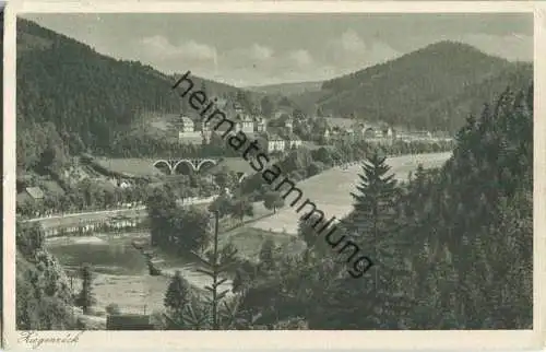 Ziegenrück - Blick von der Nemitzklippe - Verlag Rich. Zieschank Rudolstadt