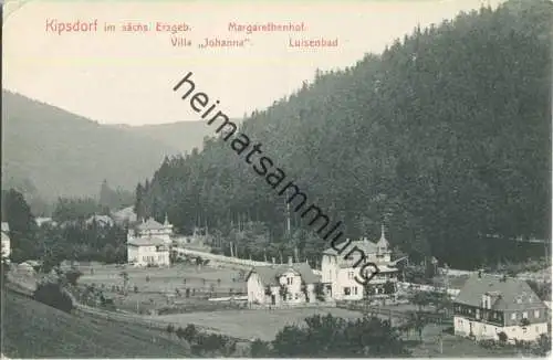 Kipsdorf - Margarethenhof - Villa Johanna - Luisenbad - Verlag Max Holfert Kipsdorf