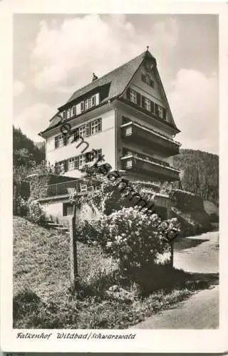 Wildbad - Falkenhof - Besitzer Rich. Schill - Foto-Ansichtskarte