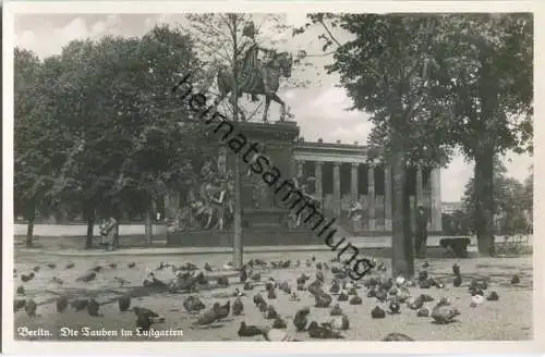 Berlin - Die Tauben im Lustgarten - Foto-Ansichtskarte 30er Jahre