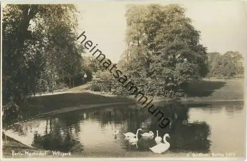 Berlin-Mariendorf - Volkspark - Foto-Ansichtskarte - Verlag J. Goldiner Berlin 1932