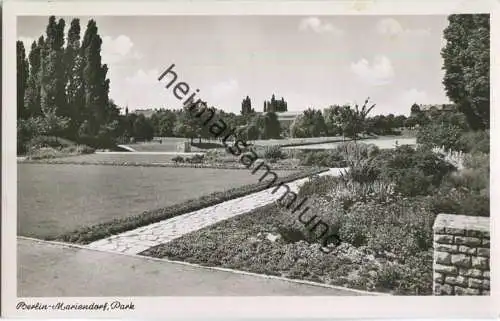 Berlin-Mariendorf - Park - Foto-Ansichtskarte 50er Jahre - Verlag Kunst und Bild Berlin