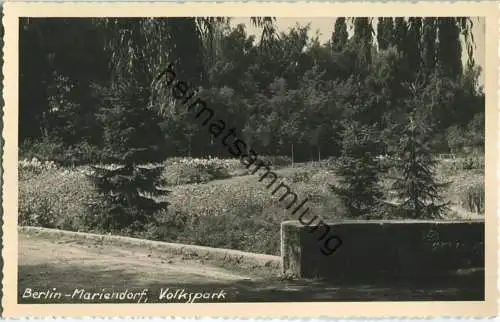 Berlin-Mariendorf - Volkspark - Foto-Ansichtskarte Handabzug 50er Jahre - Verlag Bruno Schroeter Berlin