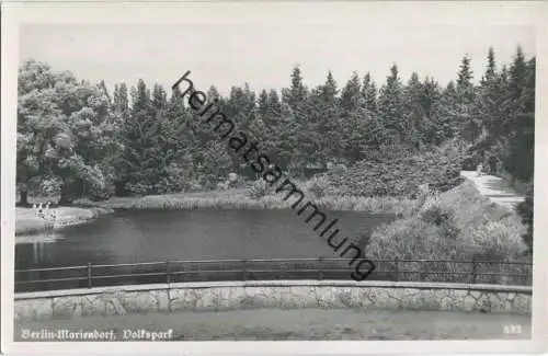 Berlin-Mariendorf - Volkspark - Foto-Ansichtskarte 50er Jahre