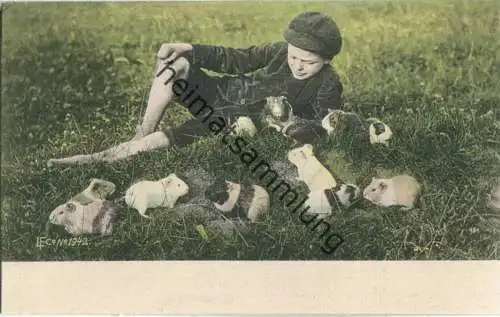 Meerschweinchen - Junge - Künstleransichtskarte ca. 1900