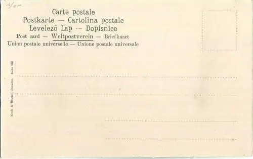 Meerschweinchen - Junge - Künstleransichtskarte ca. 1900