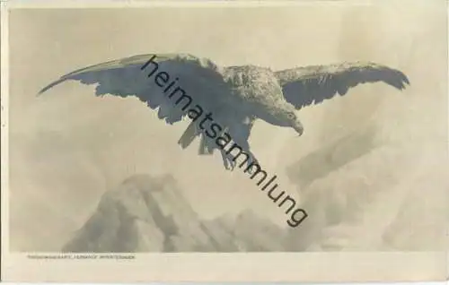Jagd - Adler im Flug - Künstleransichtskarte ca. 1900