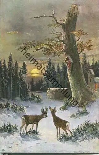 Jagd - Rehe - signiert Müller jun. München - Künstleransichtskarte ca. 1900 - coloriert