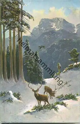 Jagd - Hirsche - signiert Müller jun. München - Künstleransichtskarte ca. 1900 - coloriert