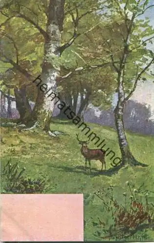 Jagd - Hirsch - signiert Splitgerber jr. - Künstleransichtskarte ca. 1900 - coloriert