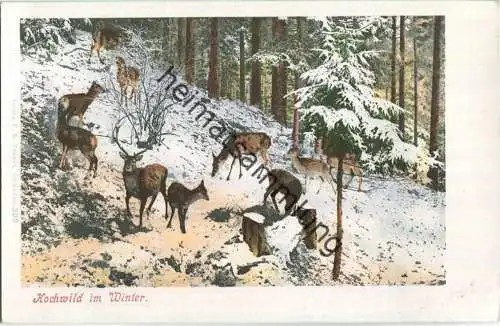 Jagd - Hochwild im Winter - Künstleransichtskarte ca. 1900 - coloriert