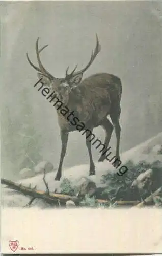 Jagd - Hirsch - Künstleransichtskarte ca. 1900 - coloriert