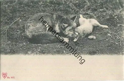 Jagd - Fuchs - Hase - Künstleransichtskarte ca. 1900