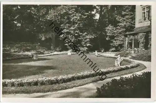 Oettingen - Hofgarten - Foto-Ansichtskarte