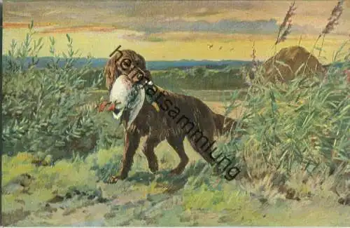 Jagd - Ente - Jagdhund - Künstleransichtskarte ca. 1900