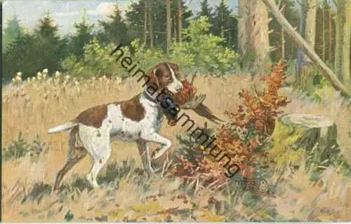 Jagd - Fasan - Jagdhund - Künstleransichtskarte ca. 1900