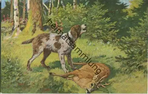 Jagd - Hirsch - Jagdhund - Künstleransichtskarte ca. 1900