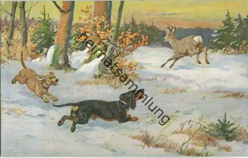 Jagd - Hirsch - Dackel - Künstleransichtskarte ca. 1900