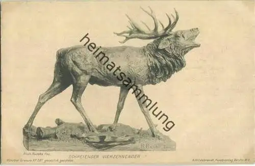 Jagd - Schreiender Vierzehnender - Rich. Rusche Berlin - Künstleransichtskarte ca. 1900